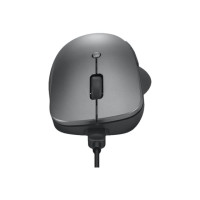 Produktbild för Lenovo Professional - mus - Bluetooth 5.1 - åskmolnsgrå