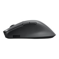 Produktbild för Lenovo Professional - mus - Bluetooth 5.1 - åskmolnsgrå