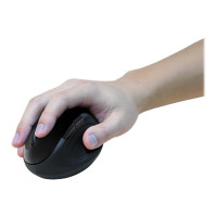Produktbild för LogiLink Ergonomic - mus - 2.4 GHz