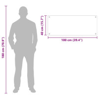 Produktbild för Köksskydd Transparent 100 x 40 cm härdat glas