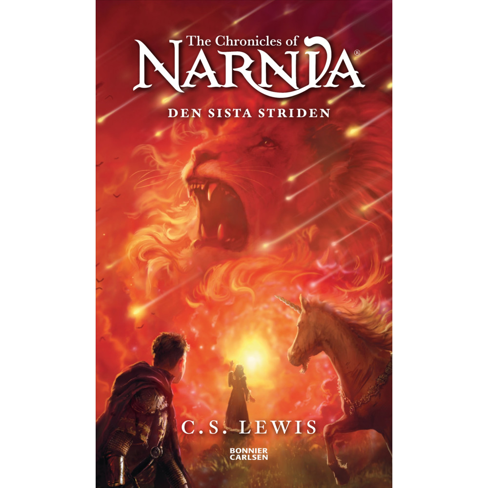 Produktbild för Den sista striden (bok, kartonnage)