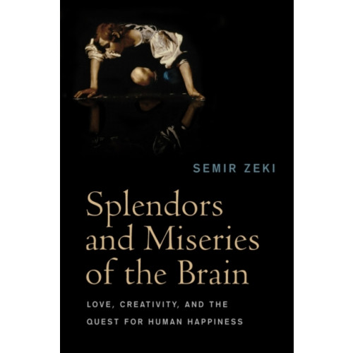 John Wiley And Sons Ltd Splendors and Miseries of the Brain (häftad, eng)