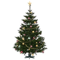 Produktbild för Julgranställ 1.73 med vattentank Grön 50 x 50 x 15,5 cm Stål
