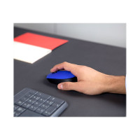 Produktbild för Logitech M171 - mus - 2.4 GHz - svart, blå