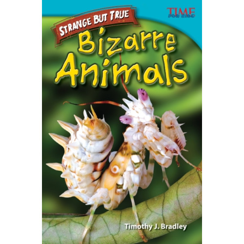 Teacher Created Materials, Inc Strange but True: Bizarre Animals (häftad, eng)
