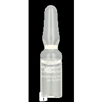 Produktbild för Dr. Hauschka Renewing Night Conditioner 10 ml Dam
