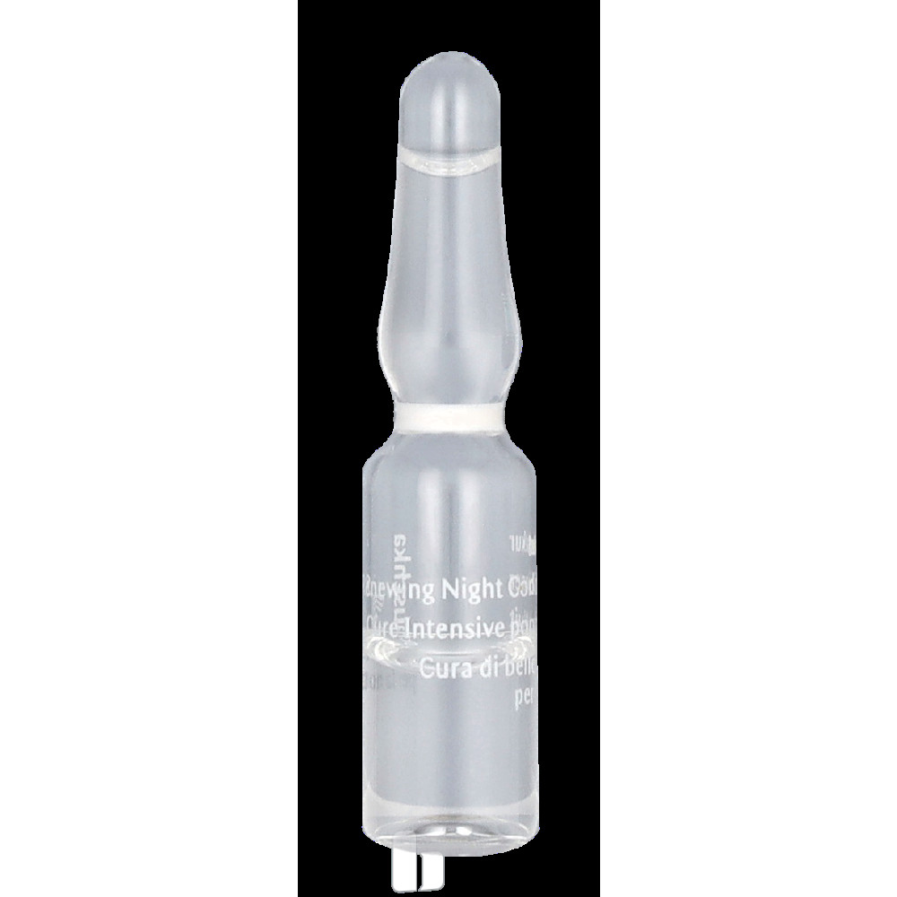 Produktbild för Dr. Hauschka Renewing Night Conditioner 50 ml Dam