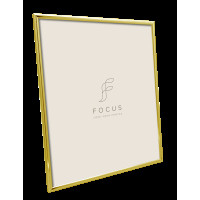 Produktbild för Focus Lily Gold 10x15