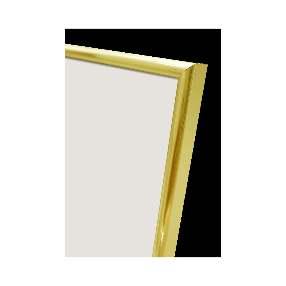 Produktbild för Focus Lily Gold 10x15