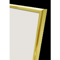 Produktbild för Focus Lily Gold 10x15