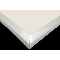 Produktbild för Focus Ivy Silver 10x15