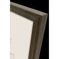 Produktbild för Focus Willow Walnut 30X45