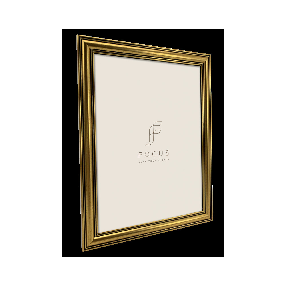 Produktbild för Focus Holly Gold 10x15