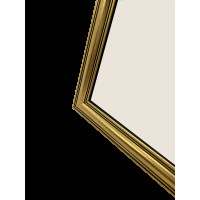 Produktbild för Focus Holly Gold 10x15