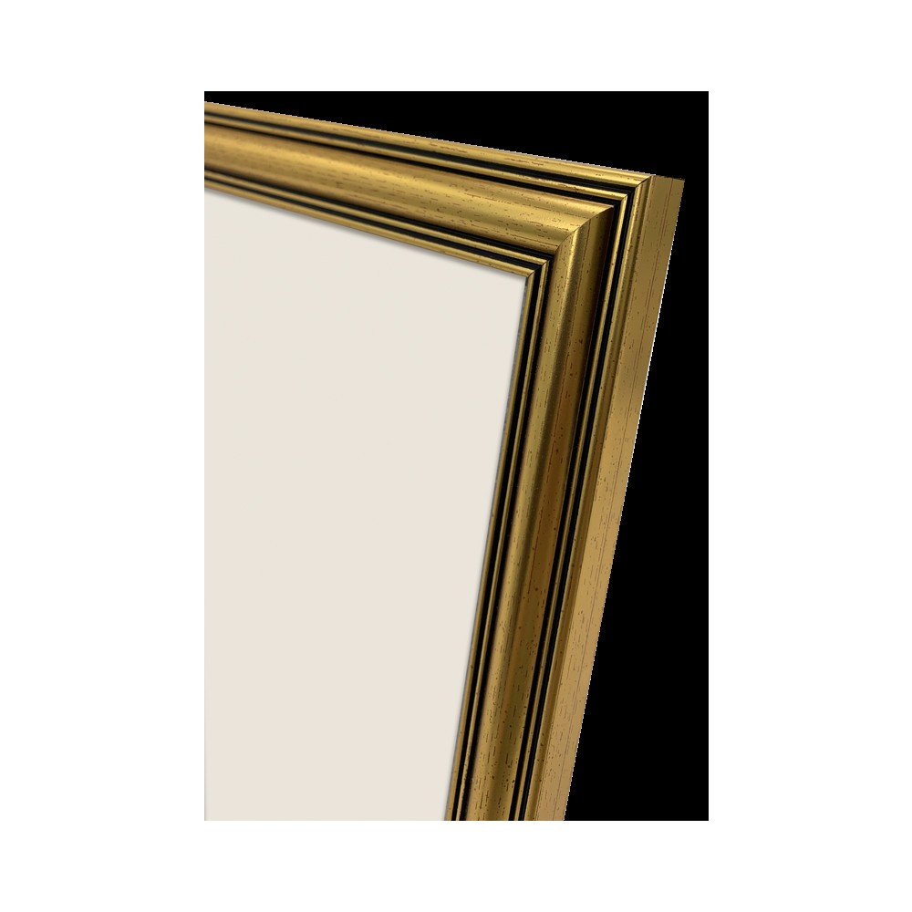 Produktbild för Focus Holly Gold 10x15