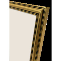 Produktbild för Focus Holly Gold 13x18
