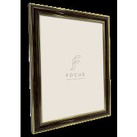 Produktbild för Focus Holly Light Root 10x15