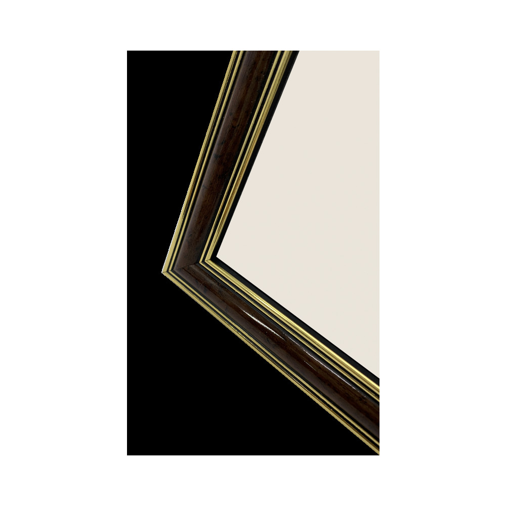 Produktbild för Focus Holly Light Root 10x15