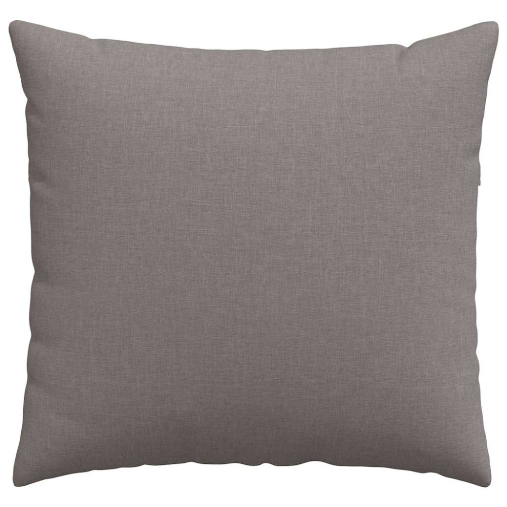 Produktbild för Sofakuddar 2 pcs Taupe 50 x 50 cm tyg