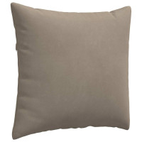 Produktbild för Sofakuddar 2 pcs Taupe 50 x 50 cm tyg