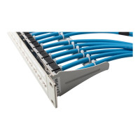 Produktbild för DIGITUS Professional DN-91419 - patch-panel - 1U - 10"