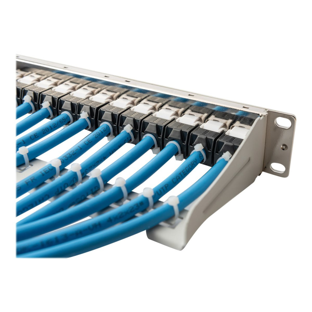 Produktbild för DIGITUS Professional DN-91419 - patch-panel - 1U - 10"