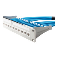 Produktbild för DIGITUS Professional DN-91419 - patch-panel - 1U - 10"