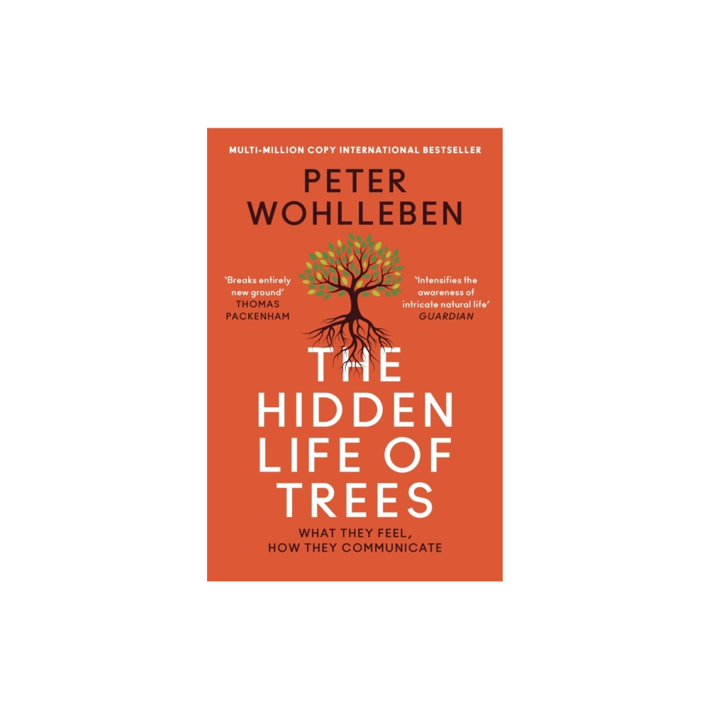 Produktbild för Hidden Life of Trees (pocket, eng)