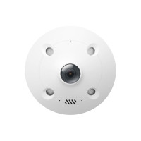 Produktbild för TP-Link VIGI InSight S655I V1 - nätverksövervakningskamera - fisköga