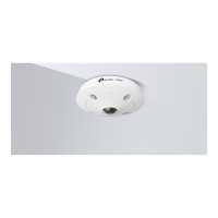 Produktbild för TP-Link VIGI InSight S655I V1 - nätverksövervakningskamera - fisköga