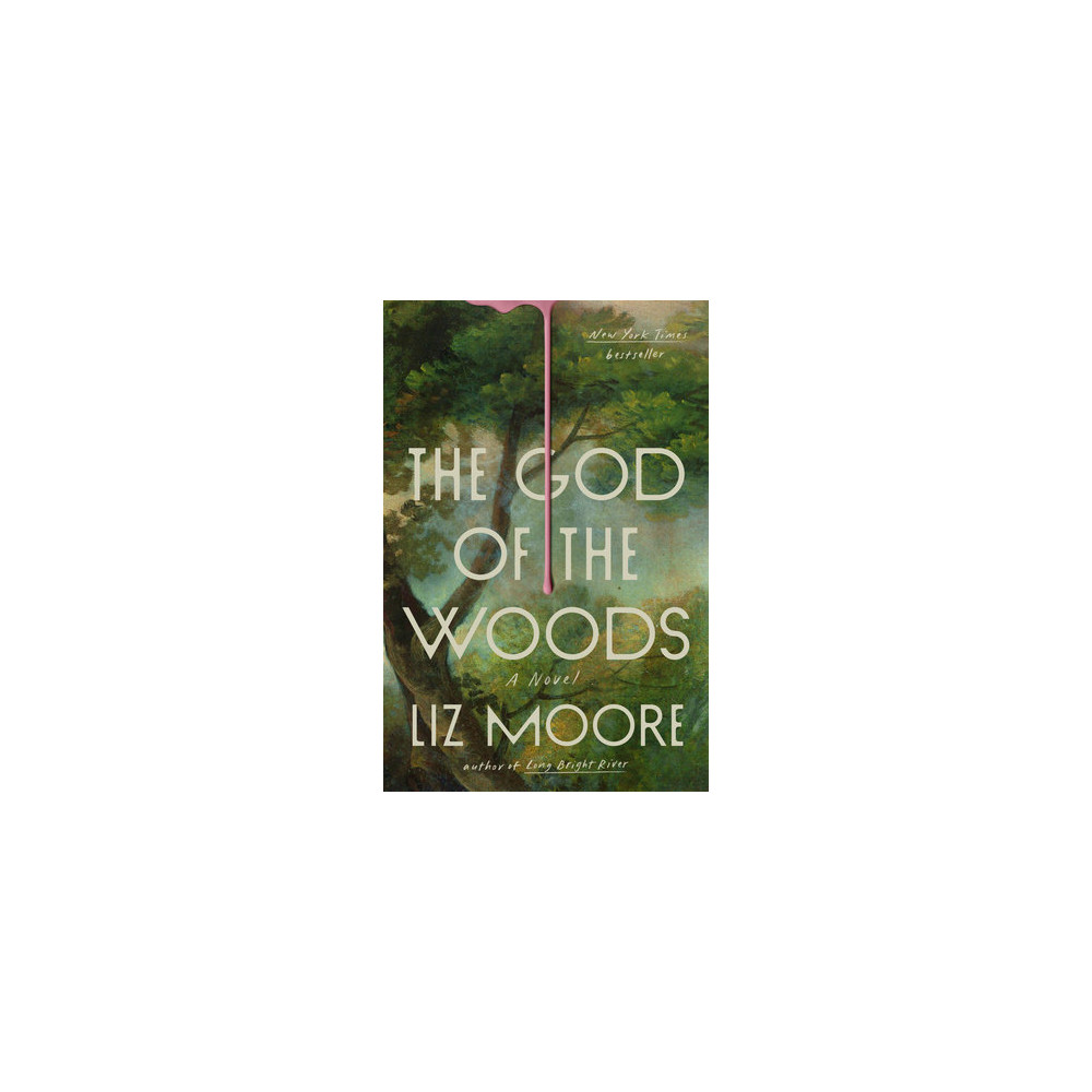 Produktbild för The God of the Woods (pocket, eng)
