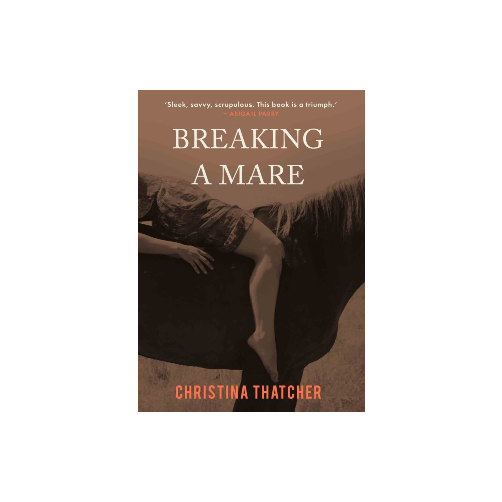 Produktbild för Breaking a Mare (häftad, eng)