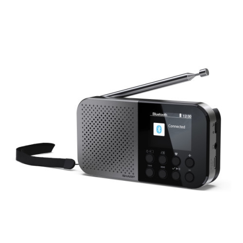 Sharp Sharp DR-P520, Personal, Digital, DAB, DAB+, FM, AAC, 5,08 (Öppnad)