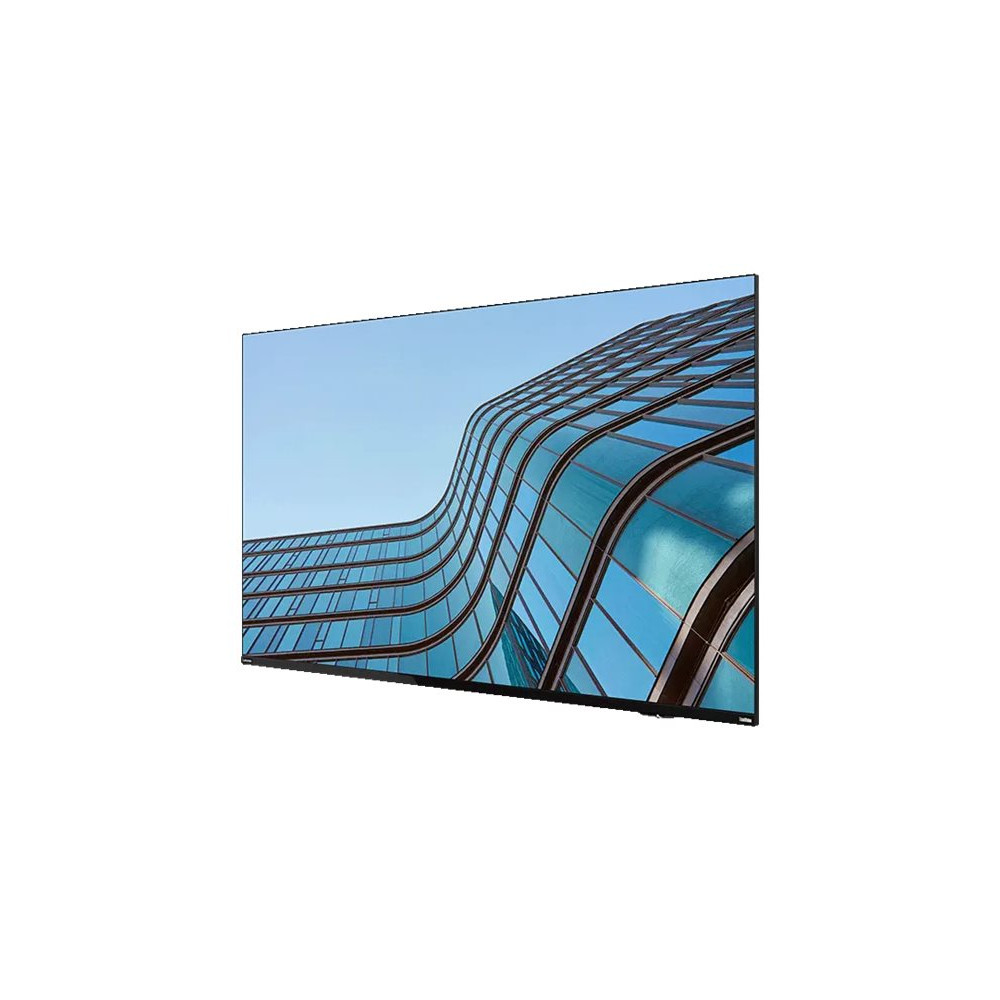 Produktbild för Lenovo ThinkVision E55 LFD