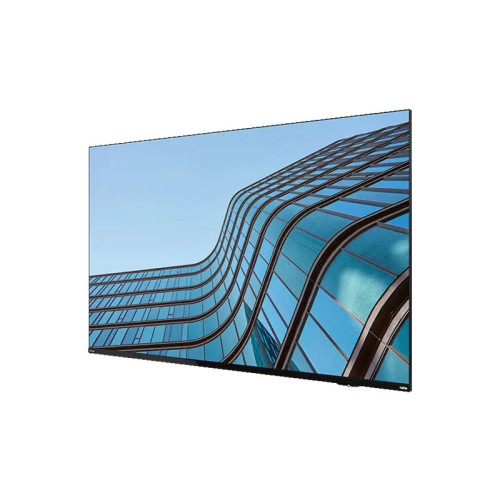 Lenovo Lenovo ThinkVision E55 LFD
