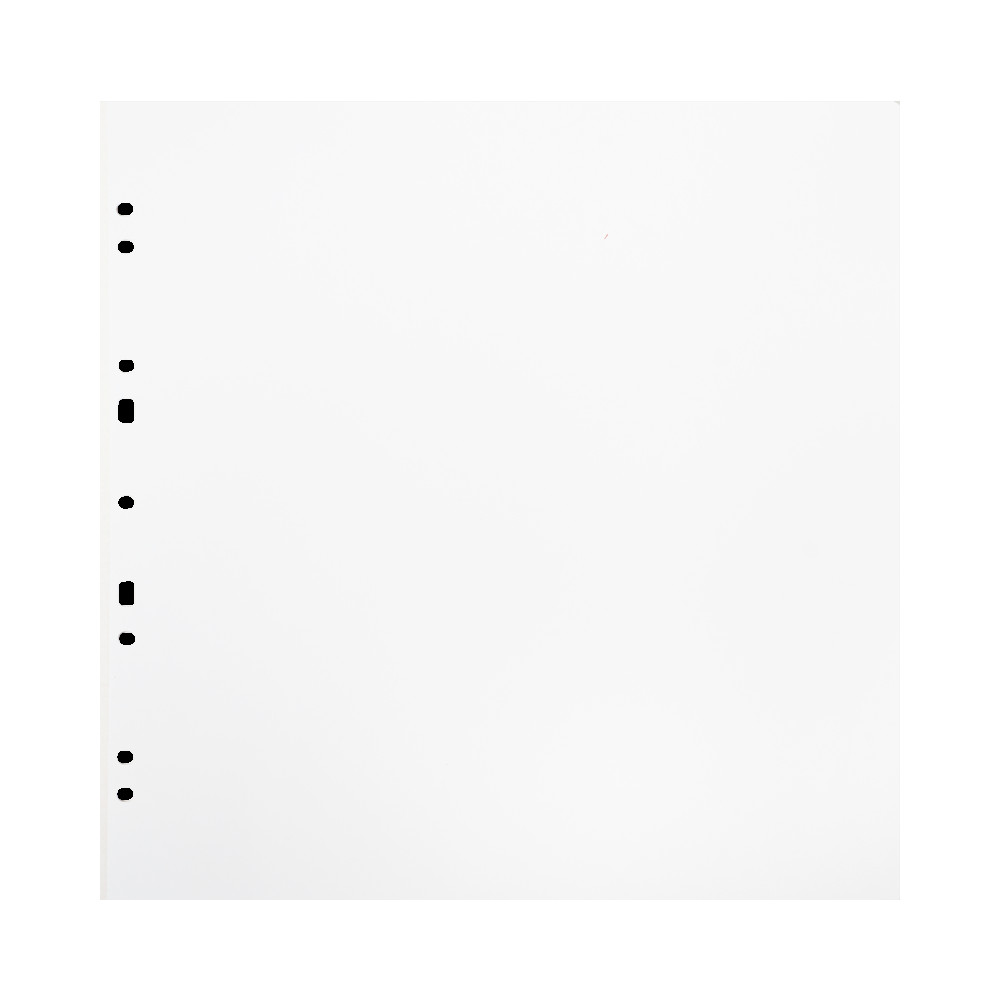 Produktbild för Focus Carton Refillsheets for Ringbinder Gigant White 10-pack