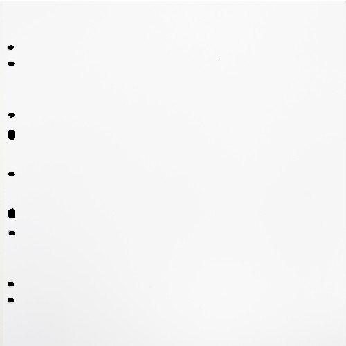 FOCUS Focus Carton Refillsheets for Ringbinder Gigant White 10-pack