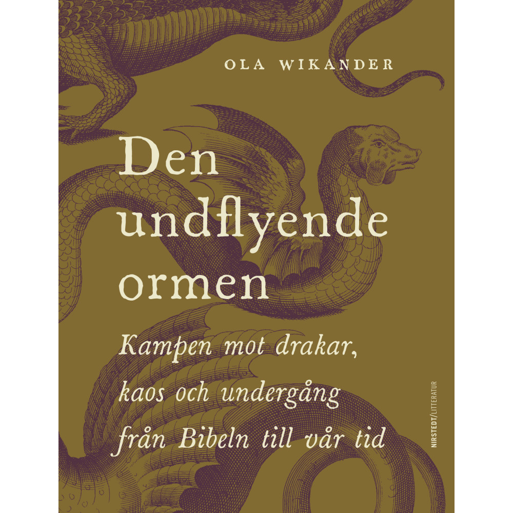 Produktbild för Den undflyende ormen : kampen mot drakar, kaos och undergång från Bibeln till vår tid (inbunden)
