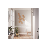 Produktbild för Nanoleaf Elements Starter Kit - trådlös belysningspanel - LED x 13 - 1.91 W - totalt: 24.83 W - varmt till kallt vitt ljus - sexhörning - trä