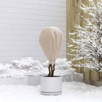 Produktbild för Frostskydd för växtfleece Beige 100 x 1,6 m Syntetiskt tyg