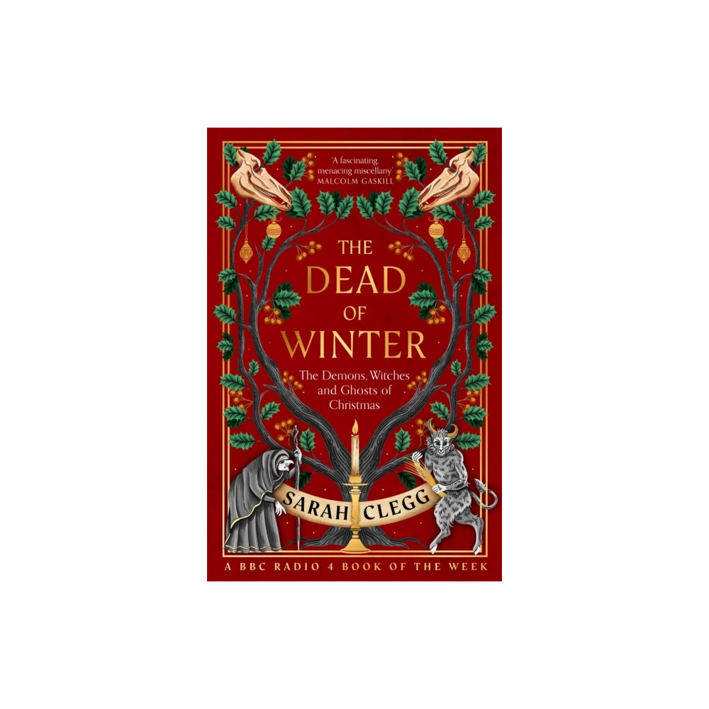 Produktbild för The Dead of Winter (pocket, eng)