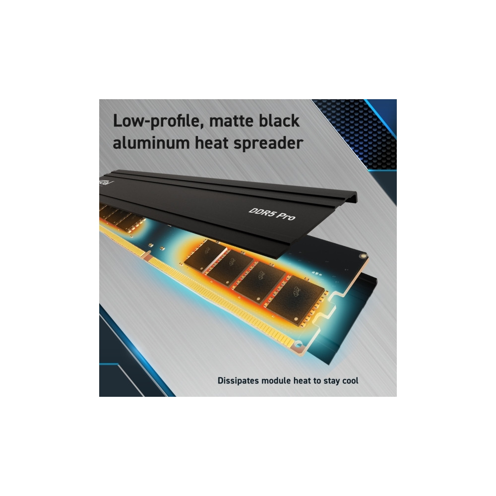 Produktbild för Crucial - DDR5 - sats - 96 GB: 2 x 48 GB - DIMM 288-pin - 5600 MHz / PC5-44800 - ej buffrad