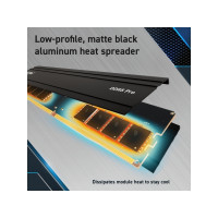 Produktbild för Crucial - DDR5 - sats - 96 GB: 2 x 48 GB - DIMM 288-pin - 5600 MHz / PC5-44800 - ej buffrad