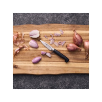 Produktbild för ZWILLING Four Star - skalkniv