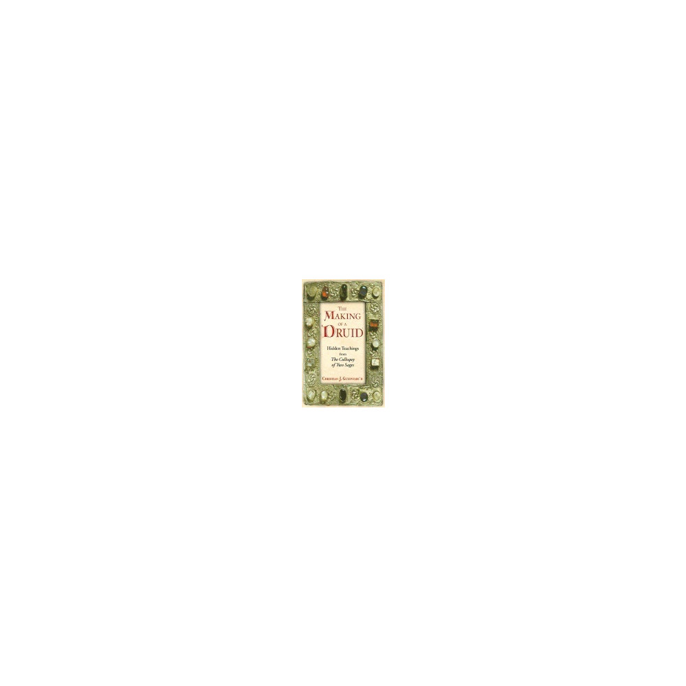 Produktbild för Making Of A Druid Hb : Hidden Teachings from the Colloquy of Two Sages (häftad, eng)