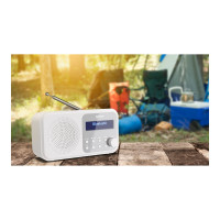Produktbild för Sharp Tokyo DR-P420 - bärbar DAB-radio - Bluetooth