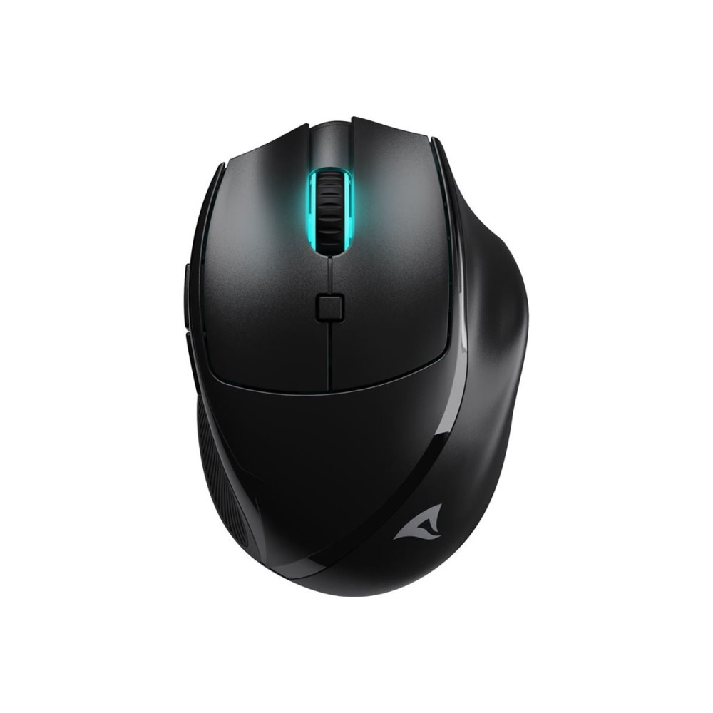 Produktbild för Sharkoon OfficePal M25W - mus - 2.4 GHz, USB - svart