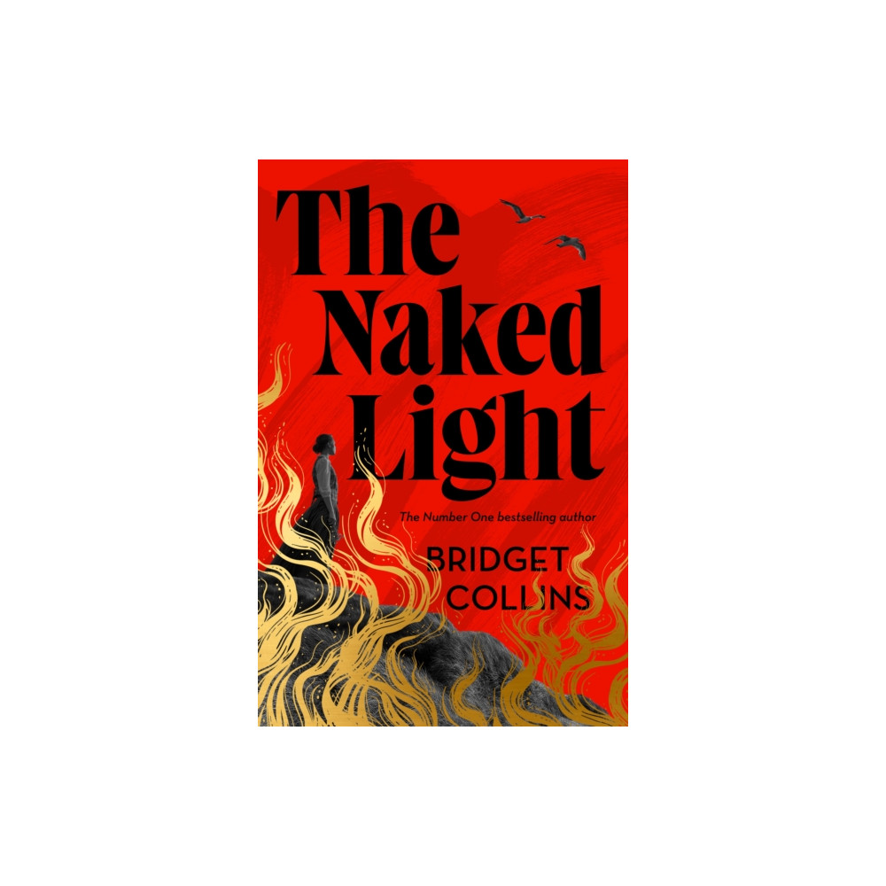 Produktbild för The Naked Light (häftad, eng)