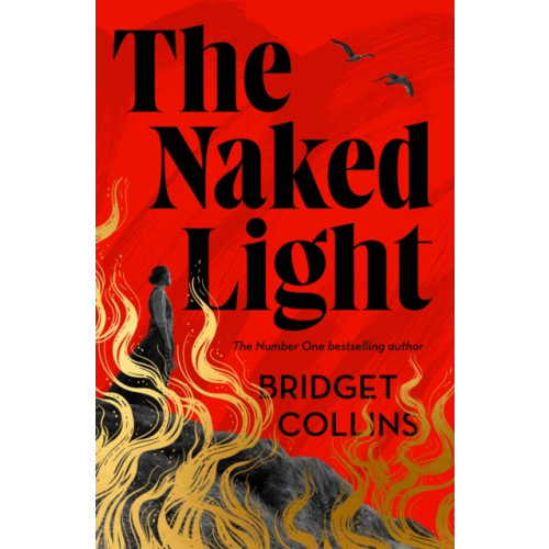 HarperCollins Publishers The Naked Light (häftad, eng)
