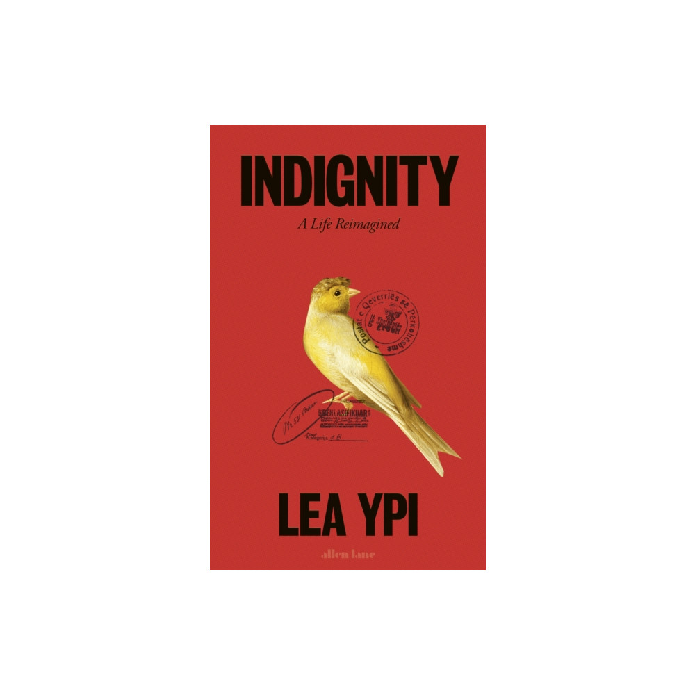 Produktbild för Indignity (inbunden, eng)